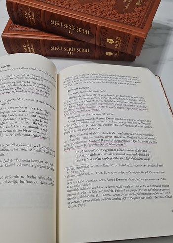 Şifa-i Şerif Şerhi Tahlil Yayınları - Görsel 13