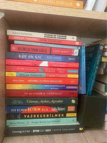 Beden Renk Çoklu kitap
