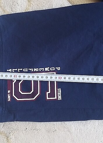 LC Waikiki Erkek sort