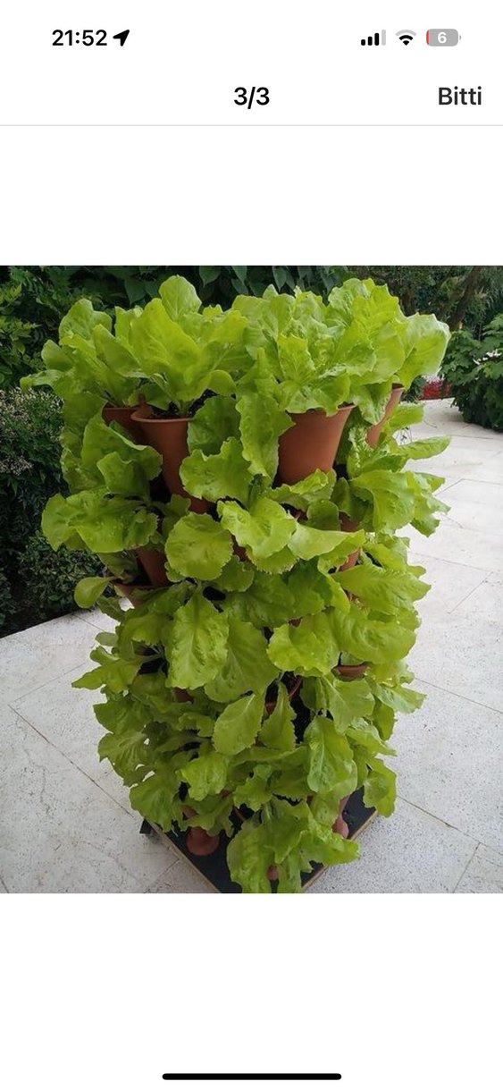 Antrasit Çok Katmanlı Saksı - Görsel 4