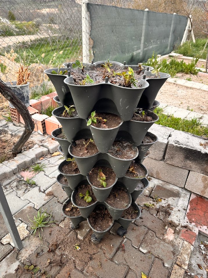 Antrasit Çok Katmanlı Saksı - Görsel 2