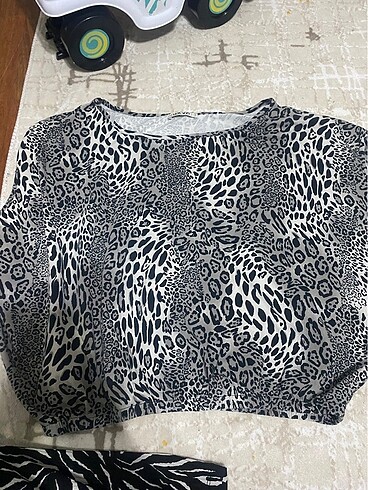 Bluz leopae