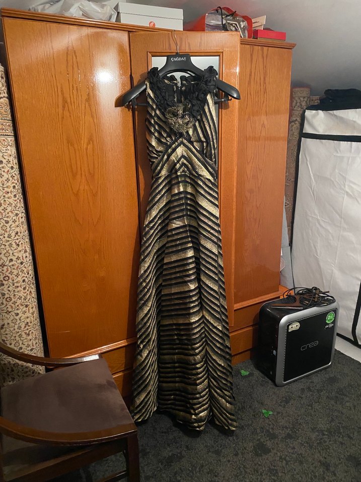 Altın Zebra Desenli Uzun Straplez Elbise - Görsel 2