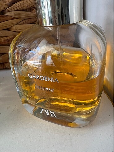 Zara Gardenia intense