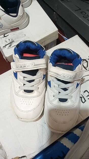 Orj lotto