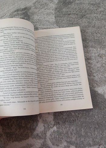 Sabahattin Ali - Kuyucaklı Yusuf Romanı - Görsel 4