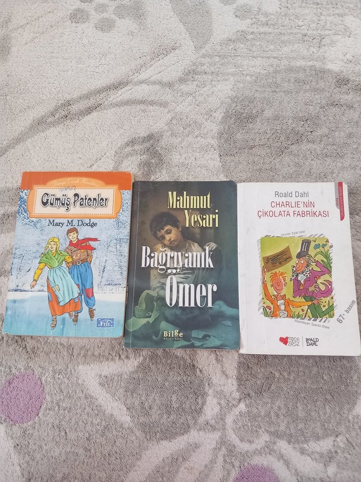 3Çocuk Kitabı: Gümüş Patenler Bağrıyanik Ömer Çikolata Fabrikası - Görsel 3