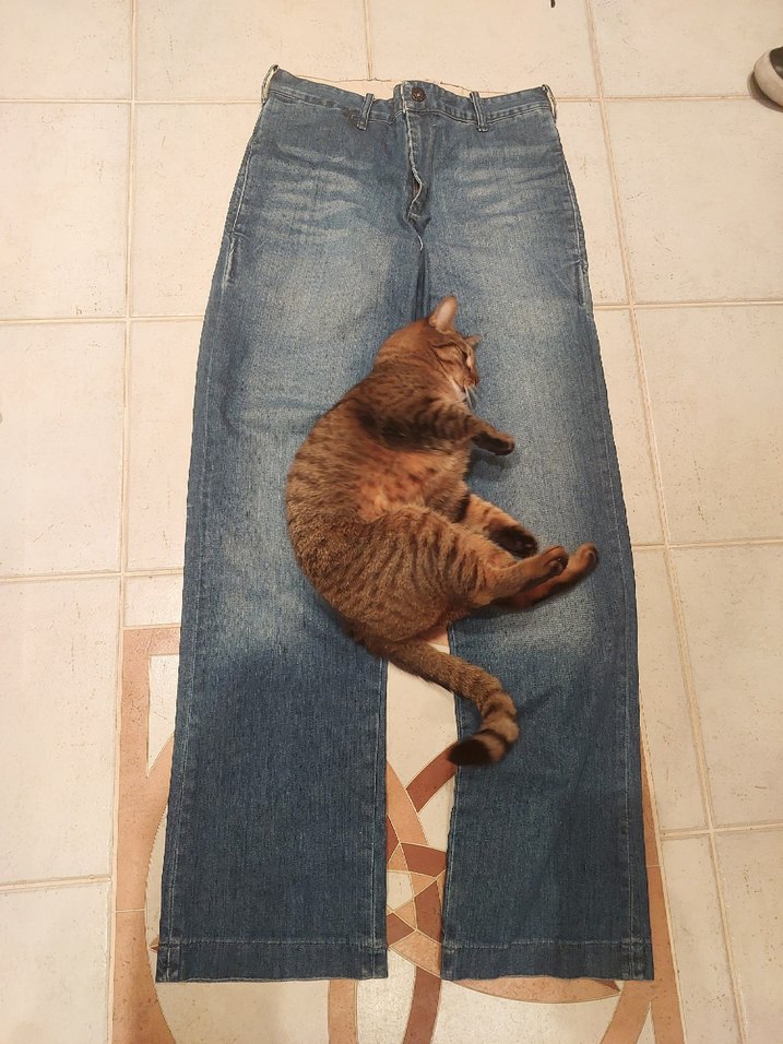 Levi's blue star bootcut — görsel 2/6