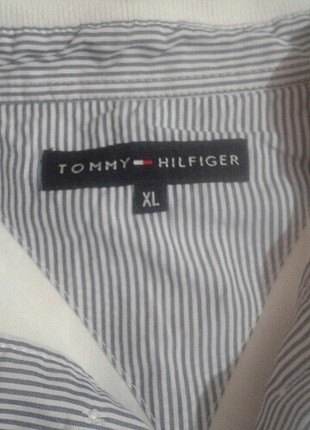 Tommy Hilfiger Erkek lacoste tshirt