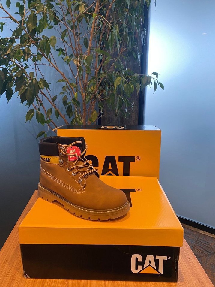 Cat caterpillar bot - Görsel 4