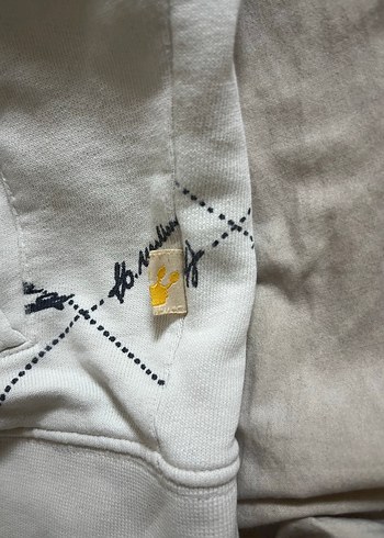 fishbone - Görsel 3