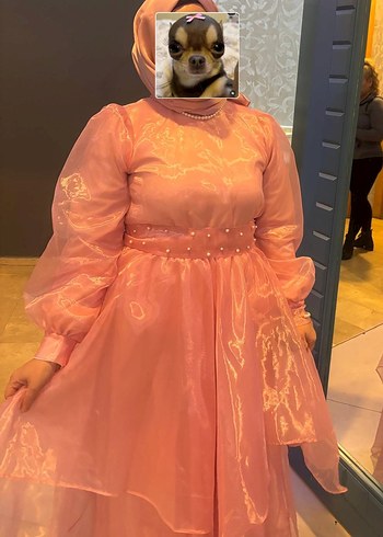 Pembe Uzun Drapeli Kadın Abiye Elbise - Görsel 4