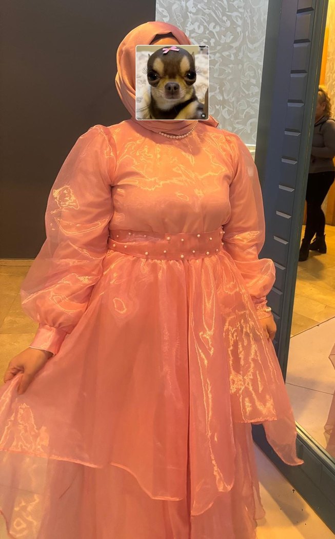 Pembe Uzun Drapeli Kadın Abiye Elbise - Görsel 4