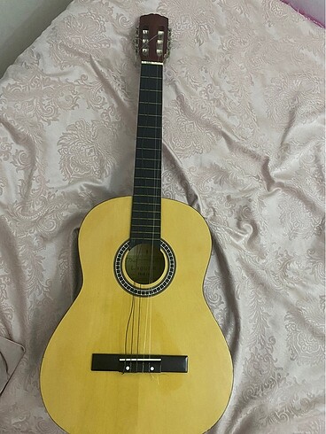 laguna gitar model cg20 4/4