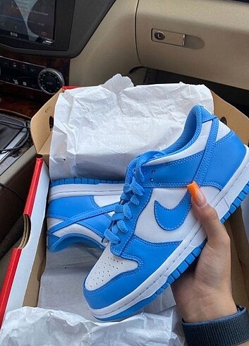 Nike DUNK LOW PRO