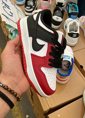 DUNK LOW PRO
