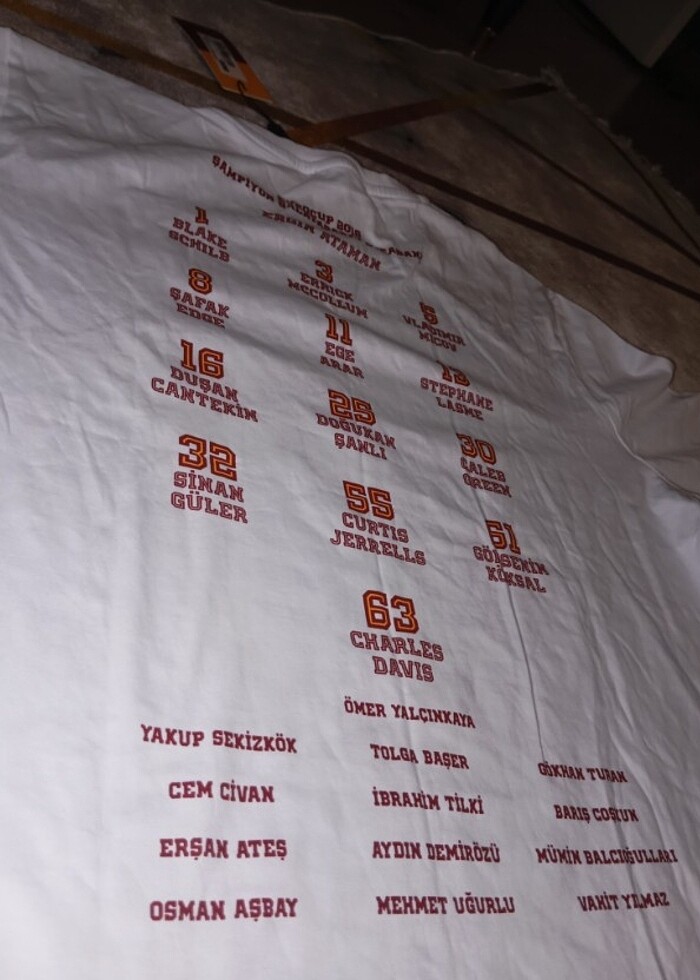 Galatasaray EUROCUP şampiyon Özel tşört - Görsel 3