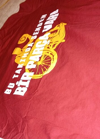 Galatasaray Tekerlekli Sandalye Özel Tşort - Görsel 3