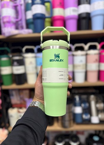 Stanley Renkli Mor Çocuk Termos Şişesi - Görsel 2