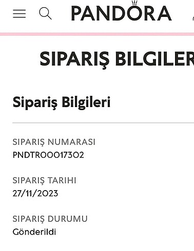  Beden beyaz Renk Pandora bilekik