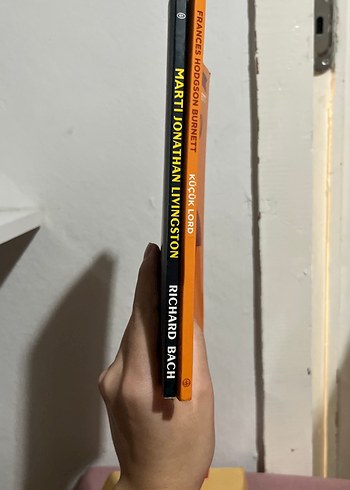 Küçük Lord ve Martı Jonathan Livingston Kitapları - Görsel 2