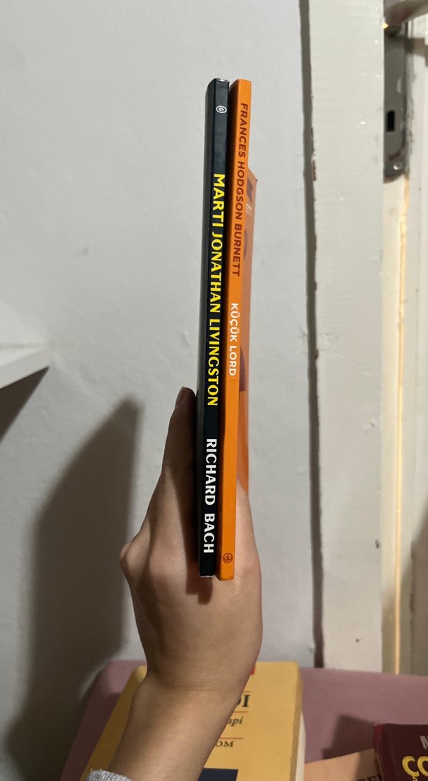 Küçük Lord ve Martı Jonathan Livingston Kitapları - Görsel 2