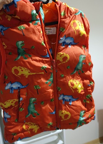 Renkli Dinozor Baskılı Erkek Yelek - Görsel 4