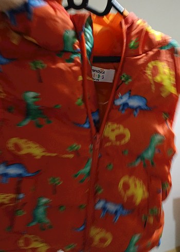 Renkli Dinozor Baskılı Erkek Yelek - Görsel 3