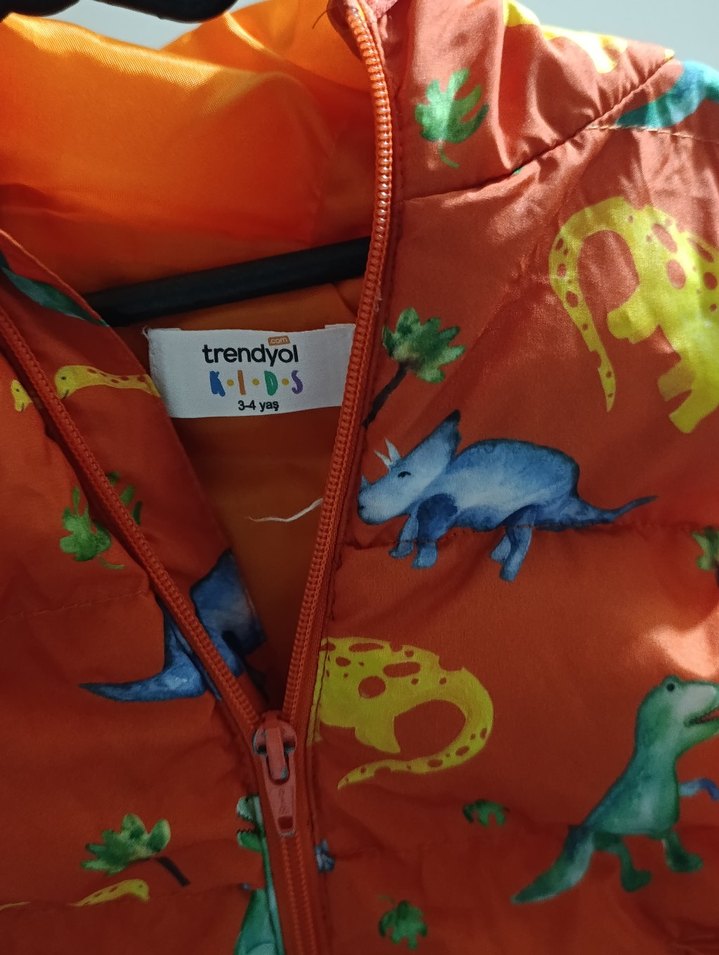 Renkli Dinozor Baskılı Erkek Yelek - Görsel 2