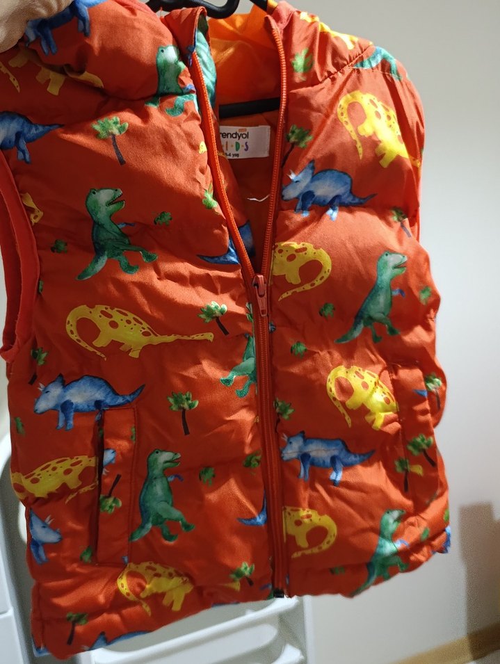 Renkli Dinozor Baskılı Erkek Yelek - Görsel 4