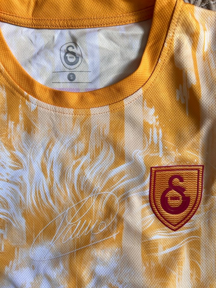 gs forma - Görsel 3