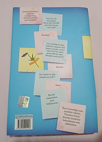 Hayatın Kıyısında Kitap