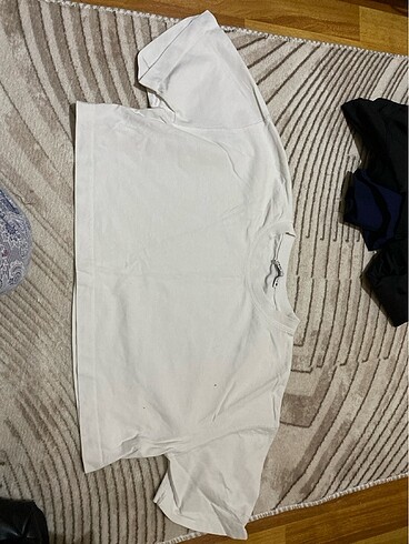 zara crop