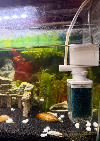 Kırmızı Ahşap Kapaklı Akvaryum - Görsel 3