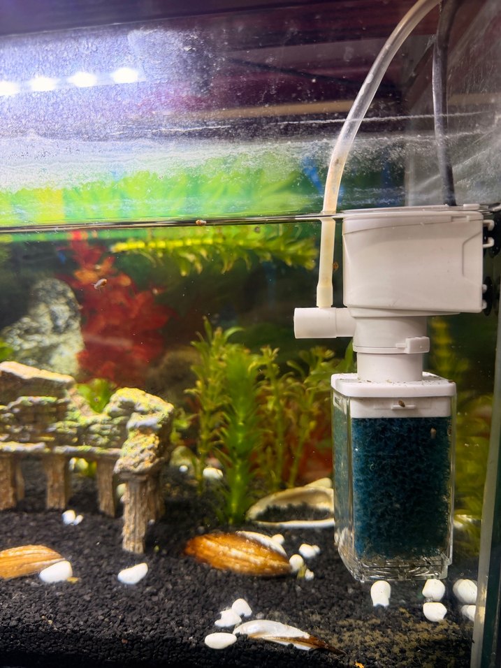 Kırmızı Ahşap Kapaklı Akvaryum - Görsel 3