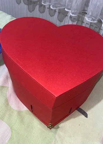 Beden Renk Kalp Kutuda Beyaz Peluş Ayıcık