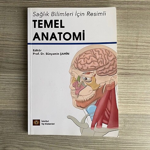 Temel Anatomi