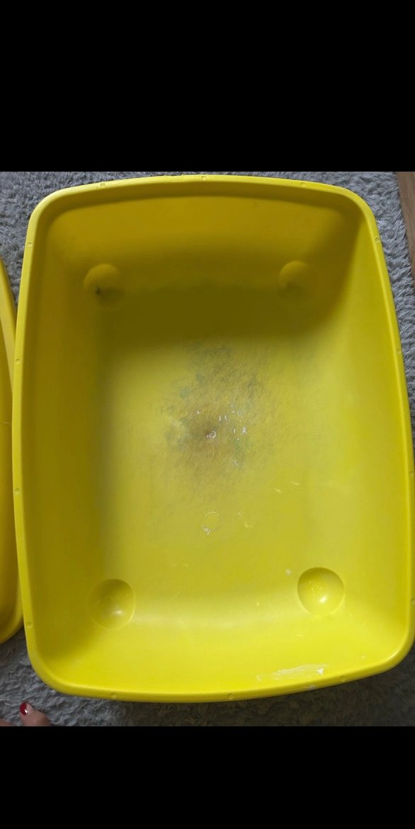 Sarı Plastik Açık Kedi Tuvalet Kabı - Görsel 3