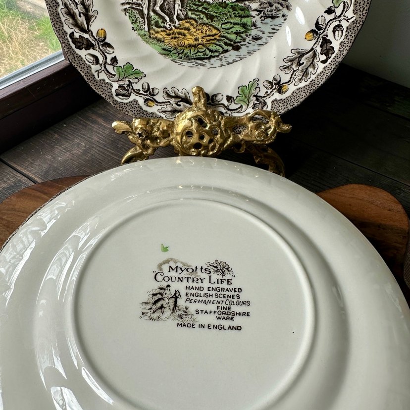 Klasik Desenli ingiliz Tabak 2 li - Görsel 3