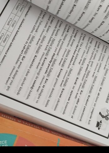 Abiye Dil Gelişim Kitapları