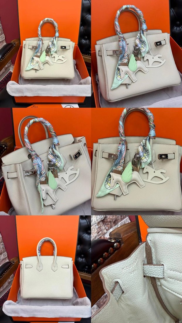 Hermes Birkin 25 Silver — görsel 5/21