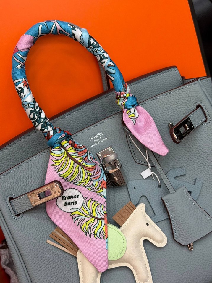 Hermes Birkin 25 Silver — görsel 13/21