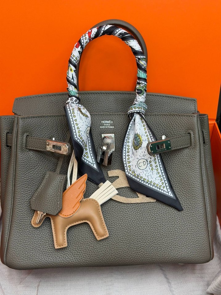 Hermes Birkin 25 Silver — görsel 9/21