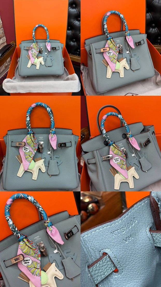 Hermes Birkin 25 Silver — görsel 4/21