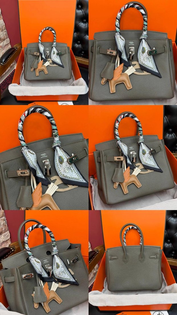 Hermes Birkin 25 Silver — görsel 6/21