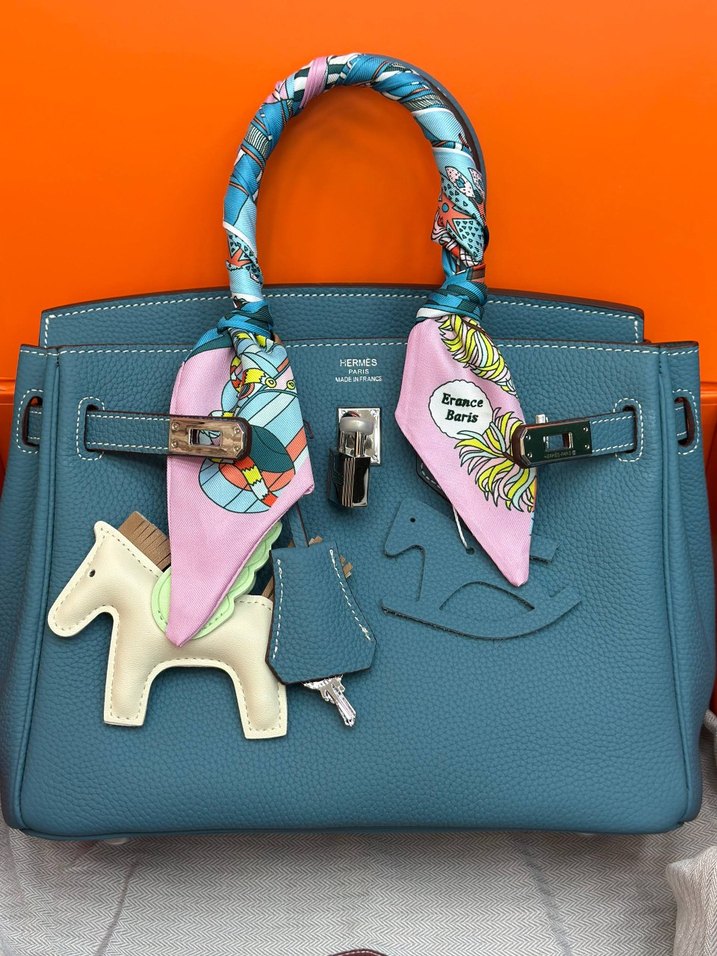 Hermes Birkin 25 Silver — görsel 19/21