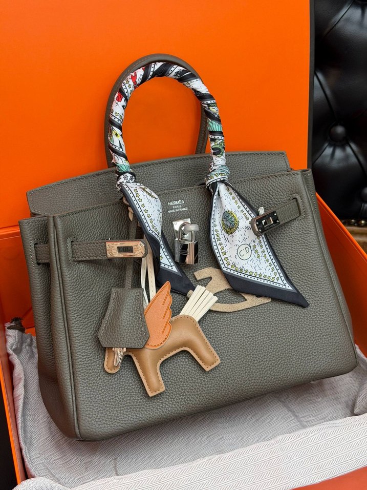 Hermes Birkin 25 Silver — görsel 10/21