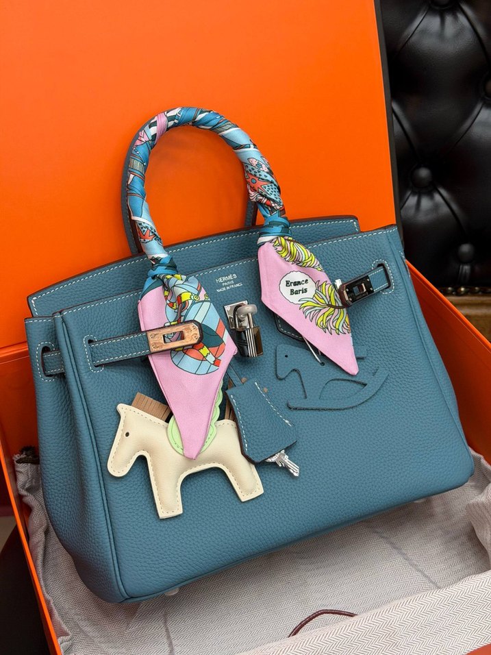 Hermes Birkin 25 Silver — görsel 18/21