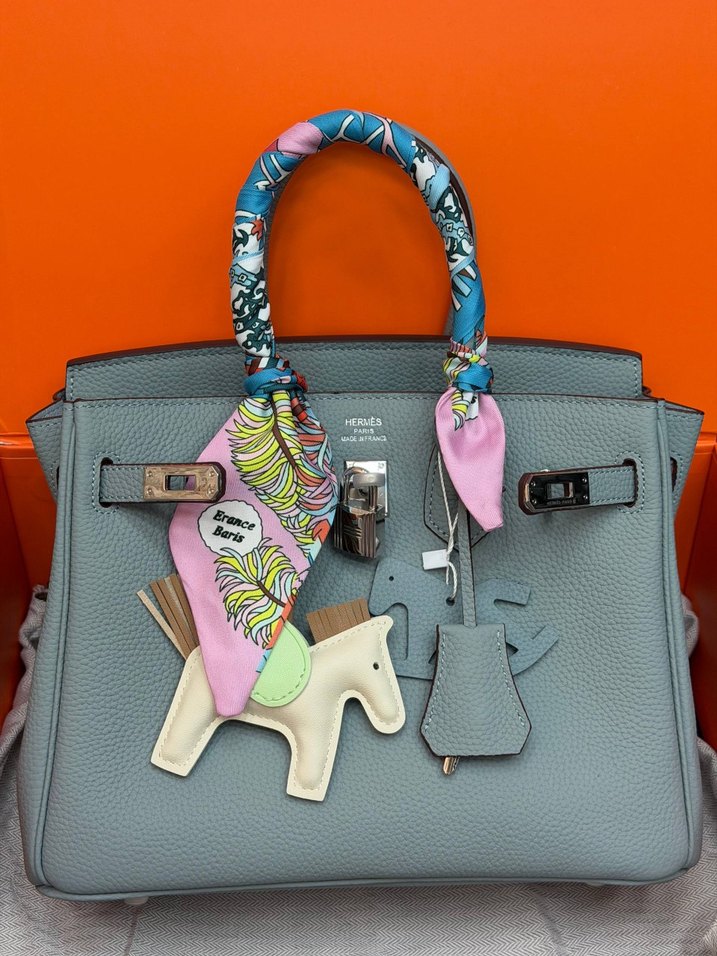 Hermes Birkin 25 Silver — görsel 14/21