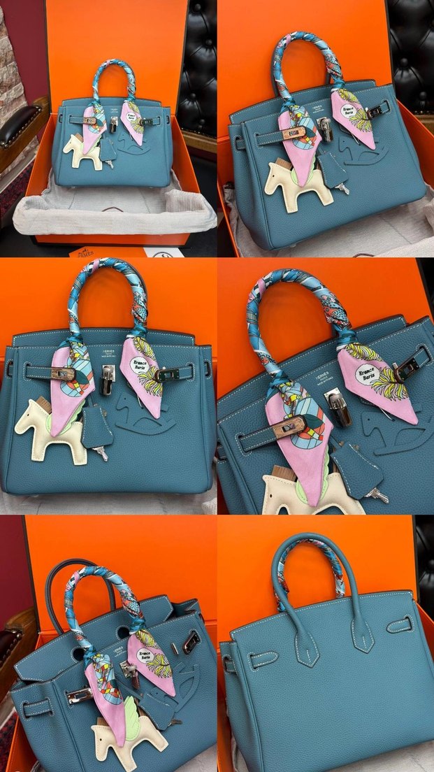 Hermes Birkin 25 Silver — görsel 3/21